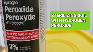 Sterilizing Soil With Hydrogen Peroxide  How To Sterilize Soil [upl. by Fitts]