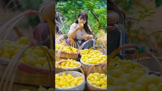 Gorgeous Girl Picks Fresh Fruit 🍏🍇🥭🍈 [upl. by Derrick]