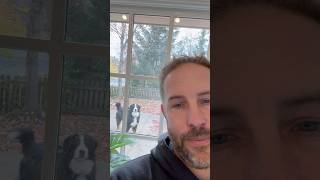 Doggie door update fluffyfeatherfarm bernesemountaindog dogdoor [upl. by Durware]