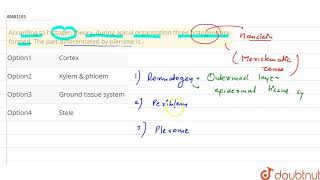 According to histogen theory during apical organization three histogens are formed The part differ [upl. by Drusus]