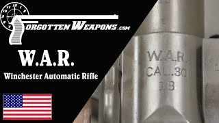 WAR  the Winchester Automatic Rifle [upl. by Mraz]