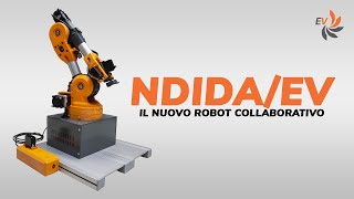 NDIDAEV il nuovo braccio robotico [upl. by Dorrie]