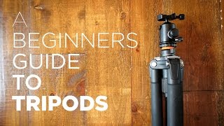 Beginners Guide to Tripods  Benefits How to Use Recommended Tripod Gear [upl. by Alenoel417]