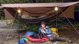 Camping with my Dog in the SkyNest Hammock Tent  cosy set up [upl. by Assillem]