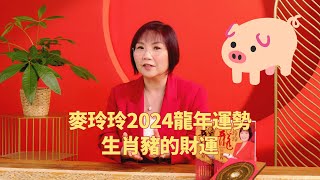 麦玲玲2024龙年运势 生肖猪的财运怎么样？ [upl. by Kappenne]