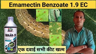 EMAMECTIN BENZOATE 19 EC Insecticide  Contact amp Systemic Insecticide [upl. by Bottali]