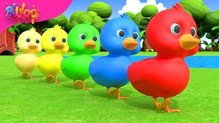 Five Little Ducks  Kids Songs  BluLoo Nursery Rhymes amp Kids Songs [upl. by Ailaht219]