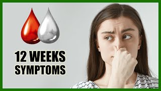 12 Weeks Pregnant Symptoms – Baby Size in Womb and Baby Movement [upl. by Ferde]