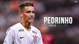 Pedrinho ► Corinthians  Skills Goals amp Assists 20182019 IHD [upl. by Evonne757]