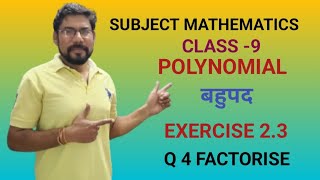 Polynomial  Class  9 Q 4 Ex 23 Factorise गुणनखण्ड करना [upl. by Nosbig403]