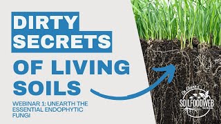 Unearth the Essential Endophytic Fungi  Dirty Secrets of Living Soils [upl. by Nesilla]