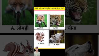 Sound se Animal name guess 🏇🦁🙊 puzzle riddles amazingfacts factsinhindi shorts [upl. by Filippo]