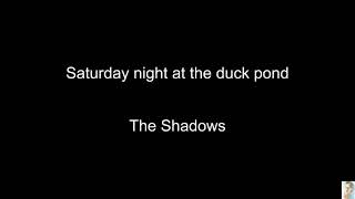 Saturday night at the duck pond The Shadows [upl. by Laurinda]