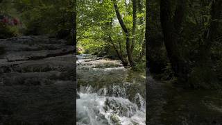 🇭🇷Plitvice Lakes National Park Croatia Walking Tour 2024 Croatia Walking Travel Shorts [upl. by Sheena]