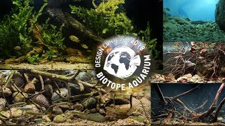 Biotope aquarium design contest 2018 all aquariums [upl. by Annavas]