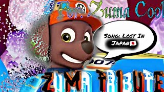 Paw Patrol Zuma Tribute  For Zuma Cool [upl. by Assel352]