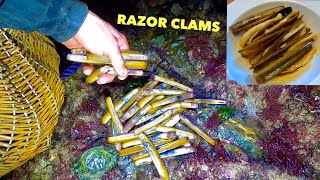 RAZOR CLAM FORAGING  Delicious Clams in hoisin Sauce [upl. by Allenotna]