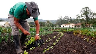 Importancia de la Agricultura Orgánica  TvAgro por Juan Gonzalo Angel [upl. by Brieta]