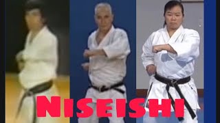 Niseishi Kata  Performed By Each Traditional Karate Style [upl. by Brine]