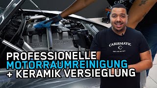 Professionelle Motorraumreinigung mit Keramik Versieglung [upl. by Nolra968]