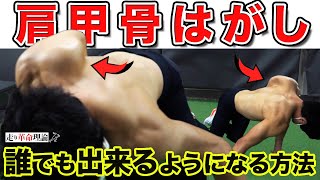 【肩甲骨ストレッチ】こんなに動く肩甲骨は見たことない！！セルフ肩甲骨はがしのやり方教えます！！ [upl. by Illah232]