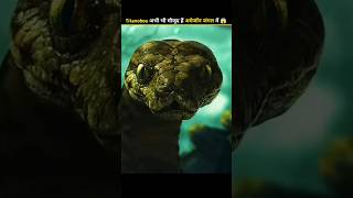 Real Truth 🤯 Of Titanoboa snake shorts facts [upl. by Pederson]