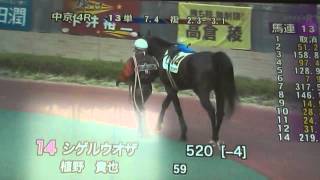 2014329中京4R サラ系障害4歳以上 3000m 芝 未勝利 [upl. by Ransell]