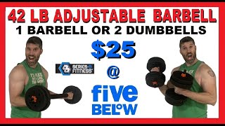 42 lb Adjustable Barbell Review  25 at Five Below  Series 8 Fitness Barbell or Dumbbells Weights [upl. by Lytle]