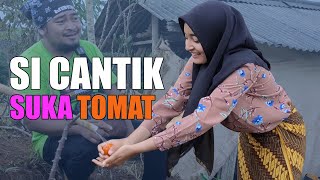 Pantesan Cantik Gadis Desa Sunda Turki Suka Makan Tomat  Indonesia Rural Girl Life Activities [upl. by Aerahs]