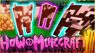 How To Min3craft SMP  quotBEAUTIFUL NEW COW FARMquot  Episode 5 [upl. by Aimit]