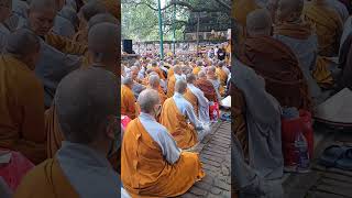 Vietnamese nuns and international monks httpsyoutubecommontoshchakmasifolu7MetaE4tx8E [upl. by Aisena100]