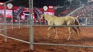 Monty Roberts JoinUp in Brazil at the Barretos Rodeo Festival 2023 [upl. by Sewell]