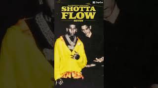 Shotta flow [upl. by Reteip]