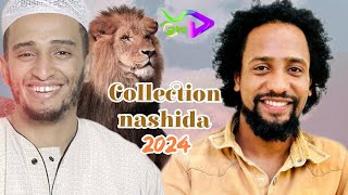 old nashida collection 2024 [upl. by Anglim]