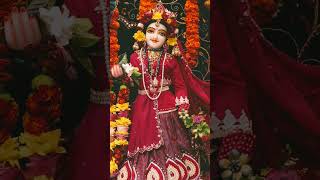 shree Radha krishnabhajan shyam merepyarenatkhatladdugopal krishnastatus shortvideo [upl. by Sitra]