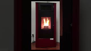 How Pellet Stove Heater Works [upl. by Eikcir]