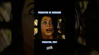 predator vs beruang movie alurfilm film [upl. by Heim]