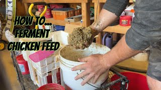 How toFerment Chicken Feed [upl. by Audrit]