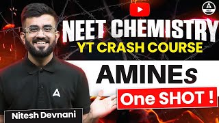 Amines Class 12 One Shot  Organic Chemistry  NEET 2024  Nitesh Devnani [upl. by Aniuqal]