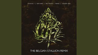 Gras in der Luft feat Crystal F KDM Shey TAMAS The Belgian Stallion Remix [upl. by Ahseka]