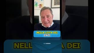 Sanzioni sulle auto cinesi una guerra commerciale che l’Europa rischia di perdere [upl. by Linneman]