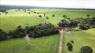 FAZENDA À VENDA ARAGUAÍNATO [upl. by Llenral877]