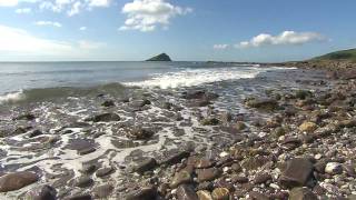 Living Seas  marine conservation in the UK with The Wildlife Trusts [upl. by Dietrich]