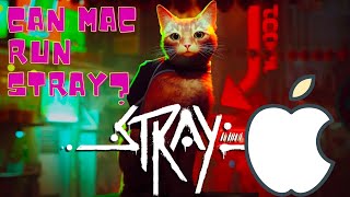 Can Mac M1 run Stray  AppleGaming shorts [upl. by Felton]