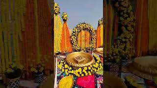 Pride Wedding PlannerWe are the Best Wedding Planner in Chandigarh Tricity Call us 919988498484🎉💫 [upl. by Adal]