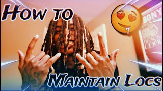 HOW TO MAINTAIN YOUR DREADS IN 2024 DREAD UPDATE dreads locs trendingvideo [upl. by Anirret617]