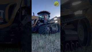 Der Raps tanzt in den ULW🤠• Claas Lexion • Caterpillar • Rapsernte • Rapeseed Harvest • 2023 [upl. by Anceline]