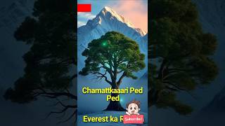 quotMount Everest ka Chamatkaari Pedquotfacts shorts amezingfacts [upl. by Joselow22]