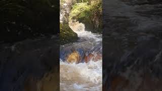 Ingleton waterfall walk [upl. by Flin]