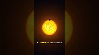 The Trappist 1 System [upl. by Dorise939]